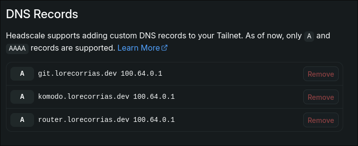 A list of private DNS servers configured for my tailnet.